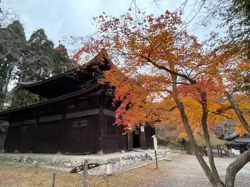 園城寺（三井寺）(滋賀県)
