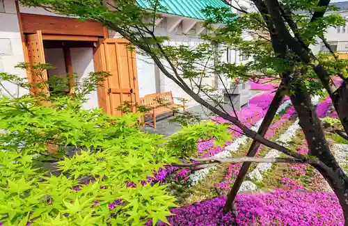 寿量山　速成寺の庭園