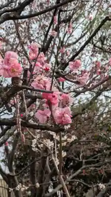 水火天満宮(京都府)