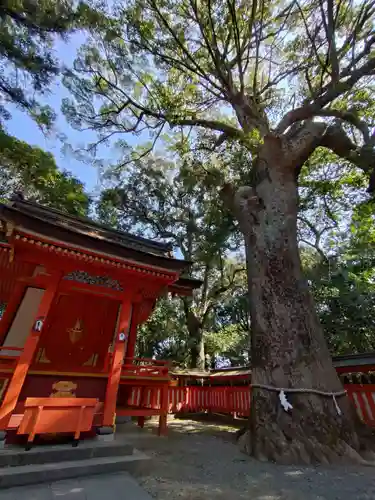 宇佐神宮(大分県)