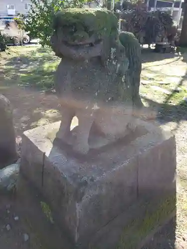 新川神社の狛犬