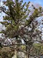 伊勢の国 四天王寺(三重県)