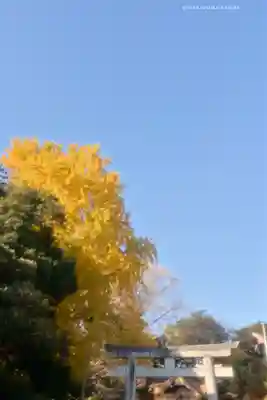 玉敷神社(埼玉県)