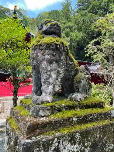 箱根神社の狛犬