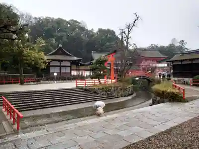 賀茂御祖神社（下鴨神社）(京都府)