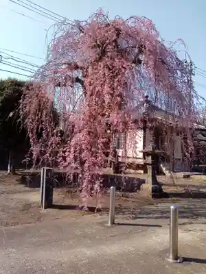法運寺(宮城県)
