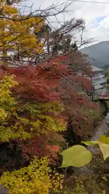 服部神社(京都府)