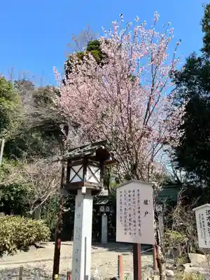 櫻木神社(千葉県)