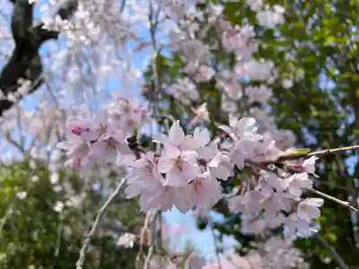 久遠寺(山梨県)