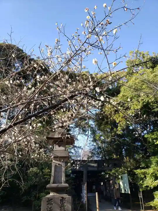 赤坂氷川神社のその他建物