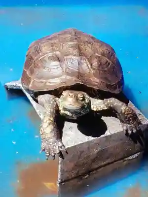 下谷神社(東京都)