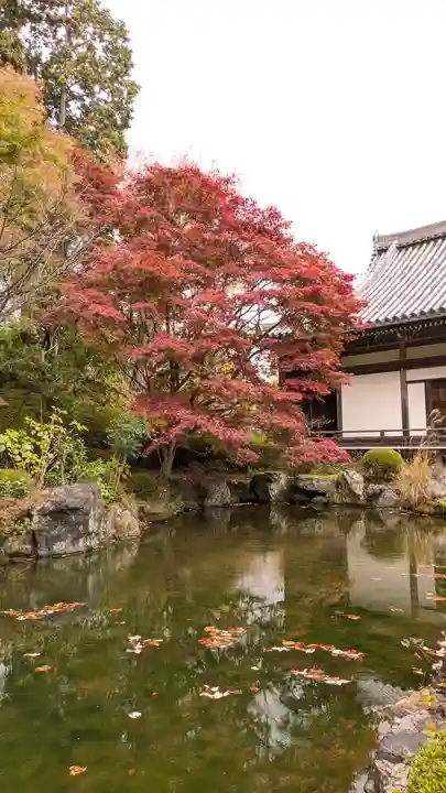 善峯寺(京都府)