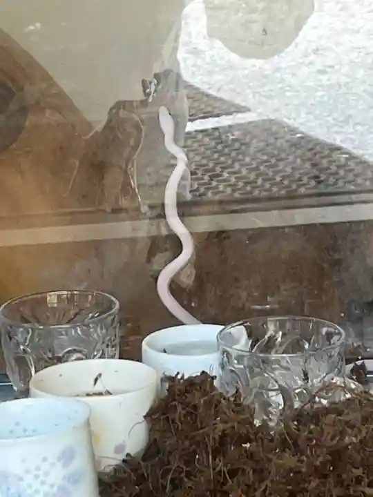 三宝神社(福岡県)