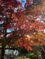 大原野神社の景色