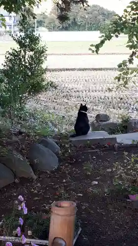 高司神社〜むすびの神の鎮まる社〜(福島県)