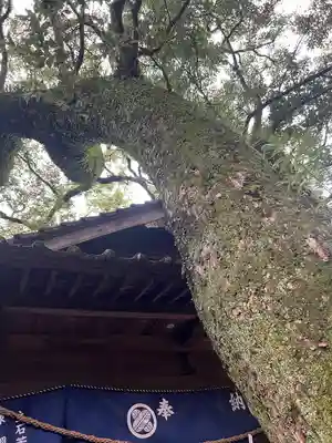 青井阿蘇神社(熊本県)