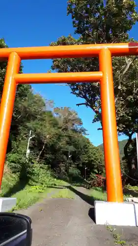 盃稲荷神社の鳥居