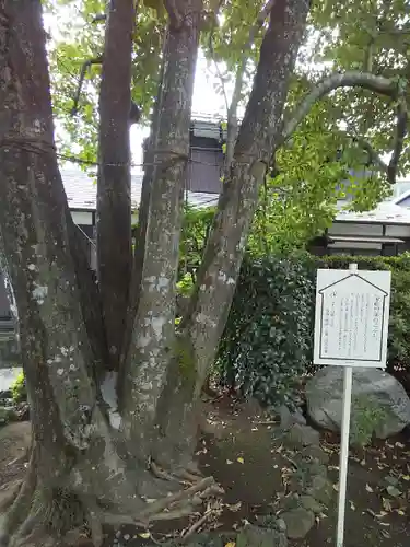 大善院(東京都)