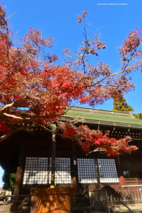本土寺(千葉県)