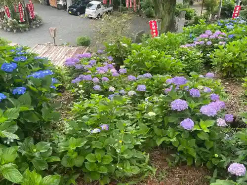 三ヶ根観音（太山寺）(愛知県)