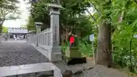 千歳神社の狛犬
