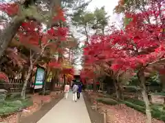 平林寺(埼玉県)