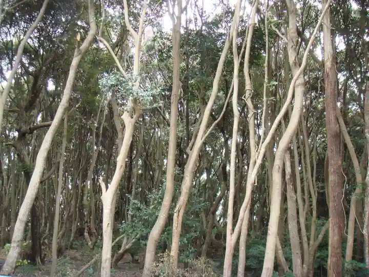 酒列磯前神社の自然
