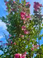 伊勢の国 四天王寺(三重県)