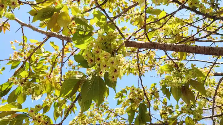 大報恩寺(千本釈迦堂)(京都府)