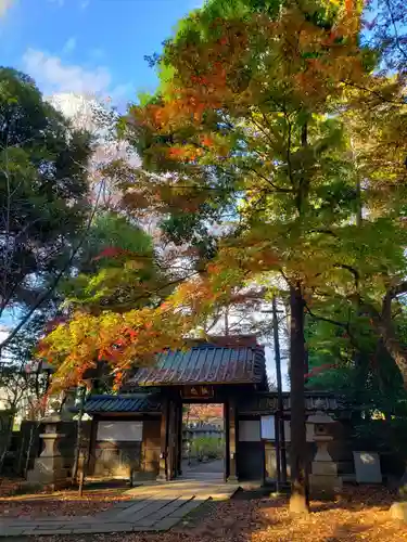 妙法寺の山門