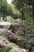 金刀比羅神社(奈良県)