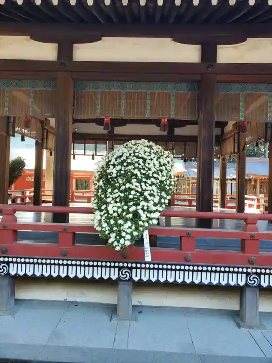 武蔵一宮氷川神社(埼玉県)
