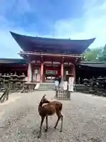 春日大社(奈良県)