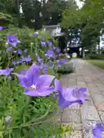 國分寺(高知県)