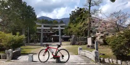 八幡神社(滋賀県)