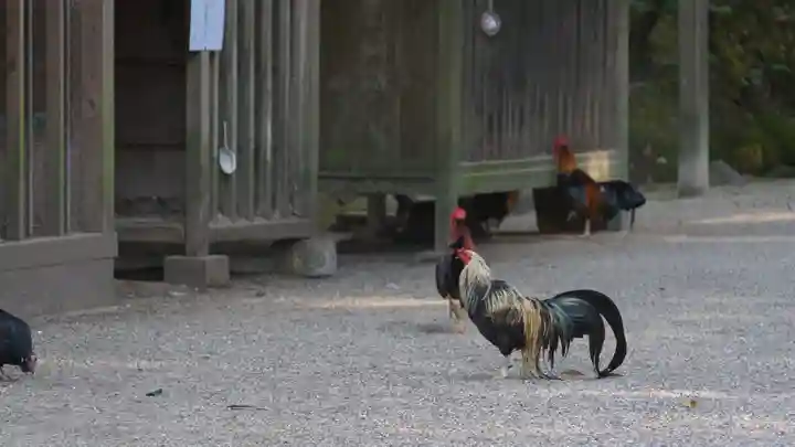 石上神宮(奈良県)