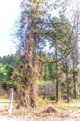 六所神社(山形県)