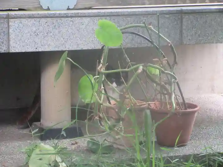 易往寺(神奈川県)