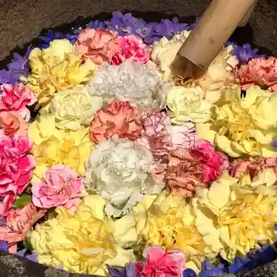 真言宗　善通寺派　薬王寺の手水舎