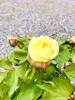 滋賀県護国神社の自然