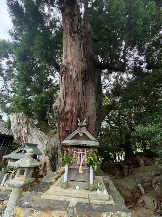 八坂神社(京都府)