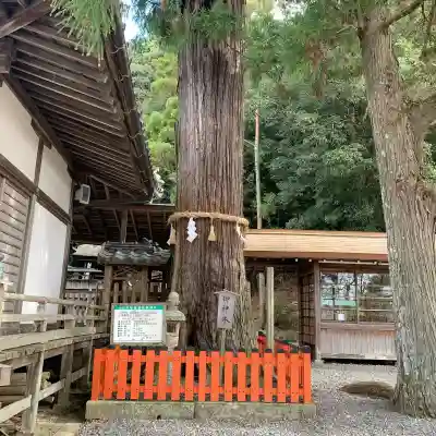 日神社(和歌山県)