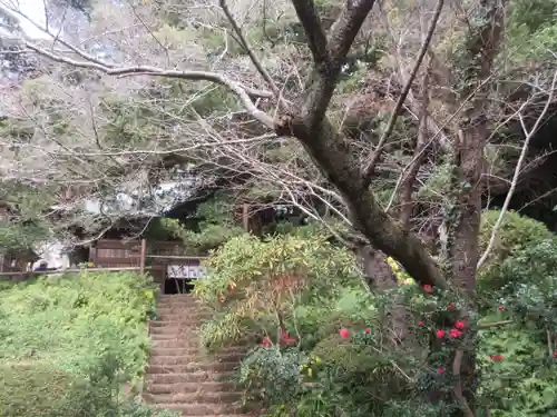 浄光明寺(神奈川県)