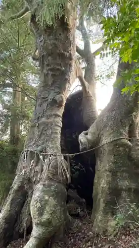 日高見神社(宮城県)