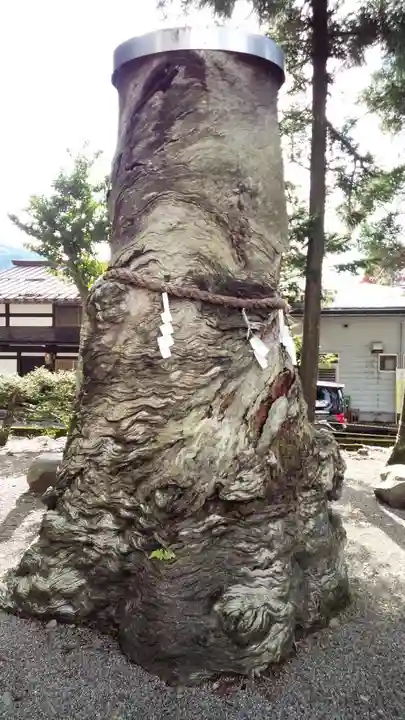 飛驒一宮水無神社の自然
