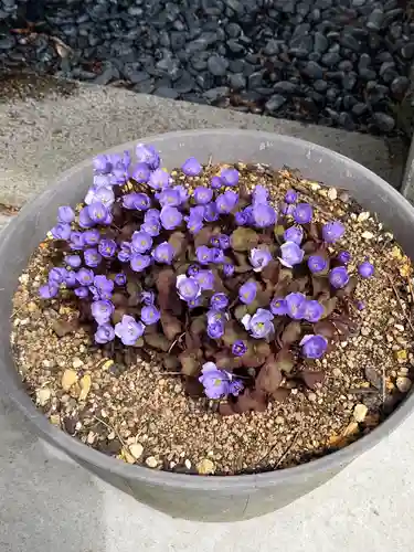 高司神社〜むすびの神の鎮まる社〜(福島県)