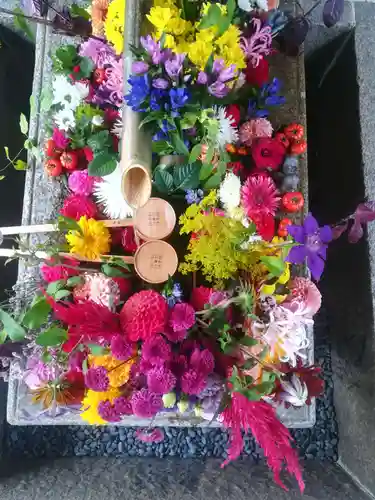 勝林寺の手水舎