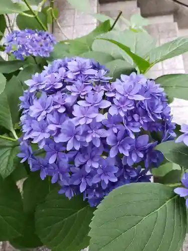 十番稲荷神社(東京都)
