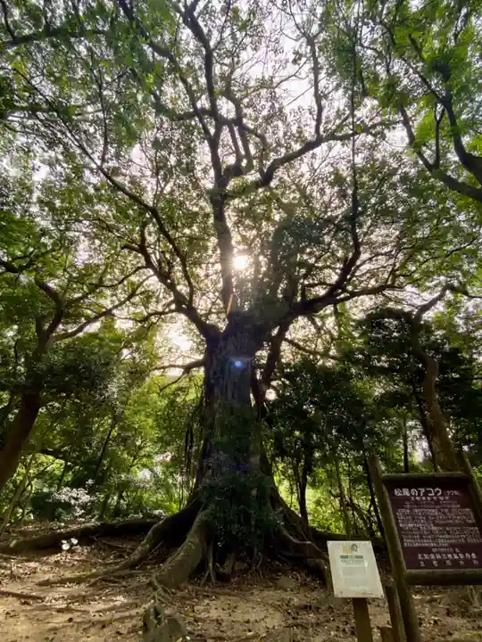 松尾天満宮(高知県)