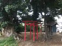 子の権現神社の鳥居